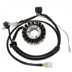 STATOR PREDATOR 500 03-07