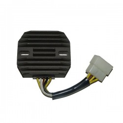 REGULATOR ZX6 90-01