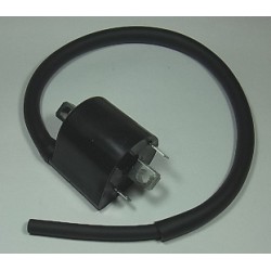 ONTSTEKINGSBOBIJN VR.SUZ DL650 V-STORM